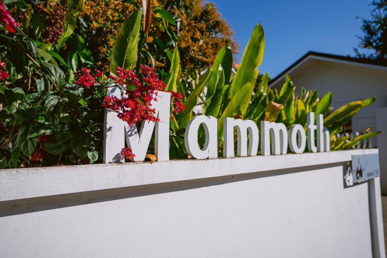 Mammoth Boutique Hotel เชียงใหม่ ภายนอก รูปภาพ